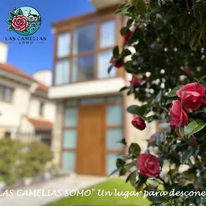 Сasa de vacaciones Nuevo!!! 5 Min Andando La Playa!! Camelias Reformado Totalmente, Somo